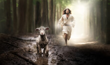  Divine Redemption: Lord Jesus Christ, Saving A Lost Lamb. Religion.