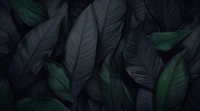 Abstract black leaves on dark background: a flat lay texture of tropical nature