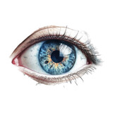 Fototapeta  - Graphic eyes in blue isolated on white background