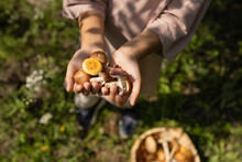 Girl Holding Mushrooms In Forest