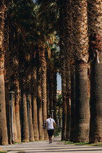 Man Walking Amidst Trees On Footpath