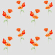© Elena - Watercolor seamless pattern with hand drawn summer bright red poppy flowers. Isolated on color background. Design for invitations, wedding, love or greeting cards, paper, print, textile
