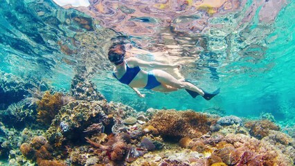 Wall Mural - Woman in blue swimsuit snorkeling in the shallow area of tropical sea and slowly swims over the vivid coral reef. Komodo National Park, Indonesia