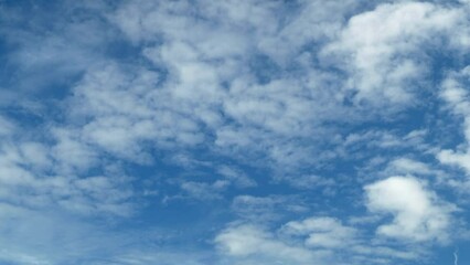 Wall Mural - White puffy clouds and a blue clear sky timelapse. Beautiful background of skyscrapers.