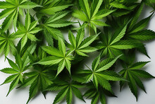 Marijuana Leaf Background
