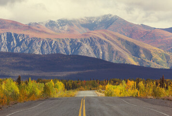 Canvas Print - Autumn road