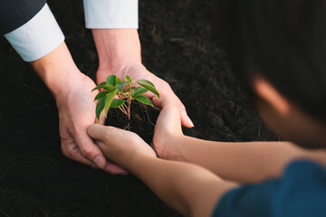 Businessman grow and nurture plant on fertilized soil with young boy as eco company committed to corporate social responsible, reduce CO2 emission and embrace ESG principle for sustainable future.Gyre