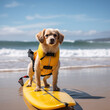 a cute little surfer dog wearing a yellow outfit on the beach, Generative AI