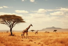 A Diverse Giraffe Animal Ecosystem On A Grassland Horizon.