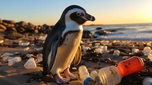 Penguin On The Beach With Garbage, Plastic Waste, Environmental Pollution. Pollution Of The Ocean And Coast.