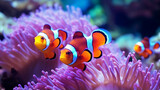 Clownfish swim around colorful coral reef. Generative AI