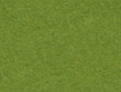Green grass texture background close up. Green lawn pattern and texture background. top view. 3d rendering illustration