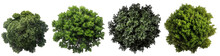 Top View Of Dense Green Foliage Trees, Isolated On Transparent Background Generative Ai