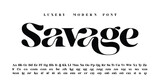 Fototapeta Młodzieżowe - Bold Serif Font in modern style with a big set of different ligatures, this typeface can be used for logos