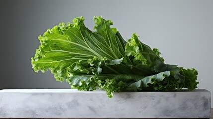 Canvas Print -  a large leafy green plant sitting on top of a marble block.  generative ai