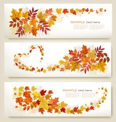 Poster - Three retro abstract autumn banners with colorful leaves and berries. Vector
