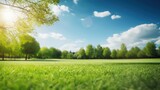 Fototapeta Sport - Beautiful green grass field and blue sky with sunlight. Natural background