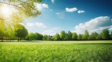 Beautiful Green Grass Field And Blue Sky With Sunlight. Natural Background
