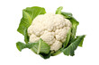 Beautiful Cauliflower Head with White Florets 3D PNG Icon.