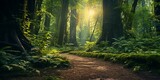 Fototapeta Fototapeta las, drzewa - enchanted path through magical forest cinematic 4k