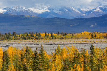 Sticker - Autumn in Canada