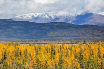 Sticker - Autumn in Canada