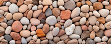 A Group Of Coral Stone With Organic Textures, Showcasing Its Various Shades And Textures. Some Stones Have A More Uniform Surface With Subtle Patterns, While Others Have A More Pronounced