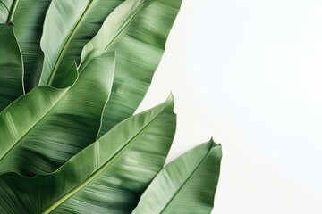 Leinwandbilder - Generative AI : abstract colorful gradient background for design as banner, ads, and presentation concept