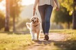 Generative AI : Owner walking with dog together in park outdoors, summer vacation, Adorable domestic pet concept, Friendship between human and their pet