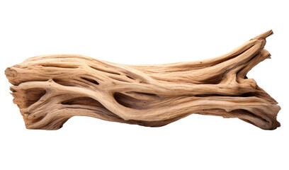 Wall Mural - driftwood isolated on transparent background