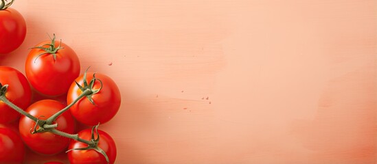 Poster - ripe natural tomato isolated pastel background Copy space