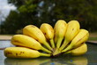 © Aaron - A bunch of ripe Bananas sit on a table outside ready to be served.