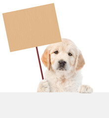 Wall Mural - Cute Golden retriever puppy shows empty placard above empty white banner. isolated on white background