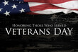 Veterans Day Greeting United States of America