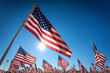 Large Group of American Flags with sun behind and blue sky