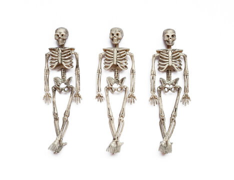 three skeletons isolated on white background. Halloween concept.