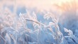Beautiful background image of frost on nature grass close up. Frozen winter landscape with snow covered branches and ice blue background
