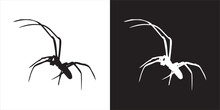 Illustration Vector Graphics Of Spider Icon