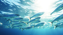 Sardines Fish Underwater. Massive Fish School Undersea Photo.


