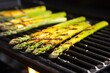 detail of asparagus piece roasted on a grill pan