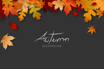 Wall Mural - Autumn leaf background border design with copy space