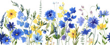 Watercolor Blue And Yellow Wildflowers Seamless Border, Cornflowers And Dandelions Botanical Liiustration
