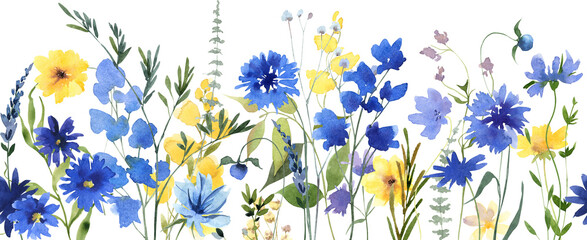 Watercolor blue and yellow wildflowers seamless border, Cornflowers and dandelions Botanical liiustration