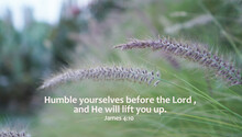 Bible Verse Quote - Humble Yourselves Before The Lord, And He Will Lift You Up. James 4: 10 On Soft Green Nature Background Of Grass Flowers. Christianity Concept.