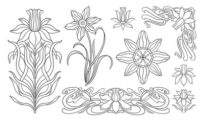 Floral narcissus plant in art nouveau 1920-1930. Hand drawn narcissus in a linear style.