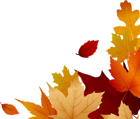 Wall Mural - Autumn leaf corner border design background decoration