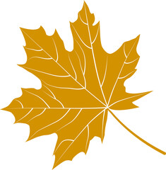 Wall Mural - Autumn maple leaf, png file no background