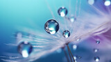 Fototapeta Kwiaty - water drop in dandelion seed