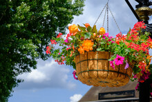 Colorful Flower Pot Suspended In The Air With Small Chains