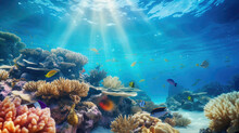 Underwater World. Coral Reef And Fishes In Red Sea At Egypt